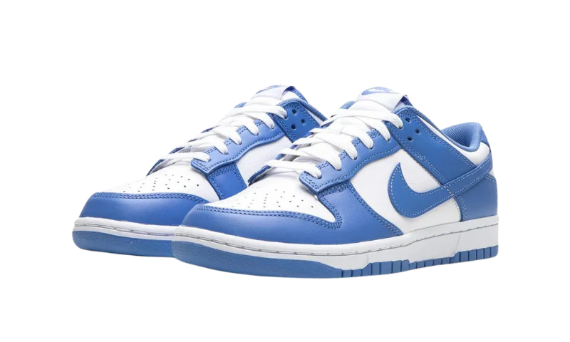 Nike Dunk Low Polar Blue